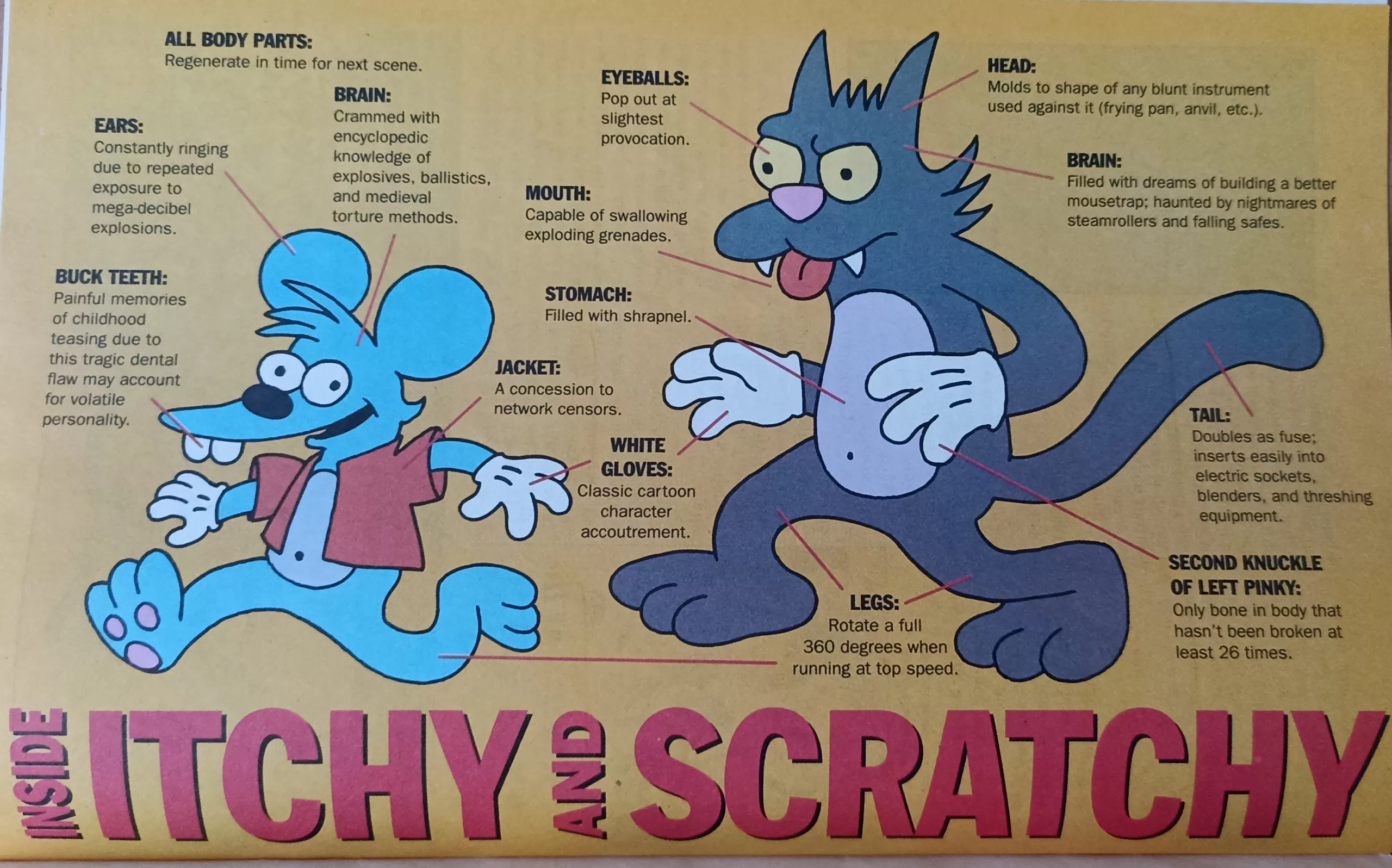 Itchy & Scratchy body part diagram