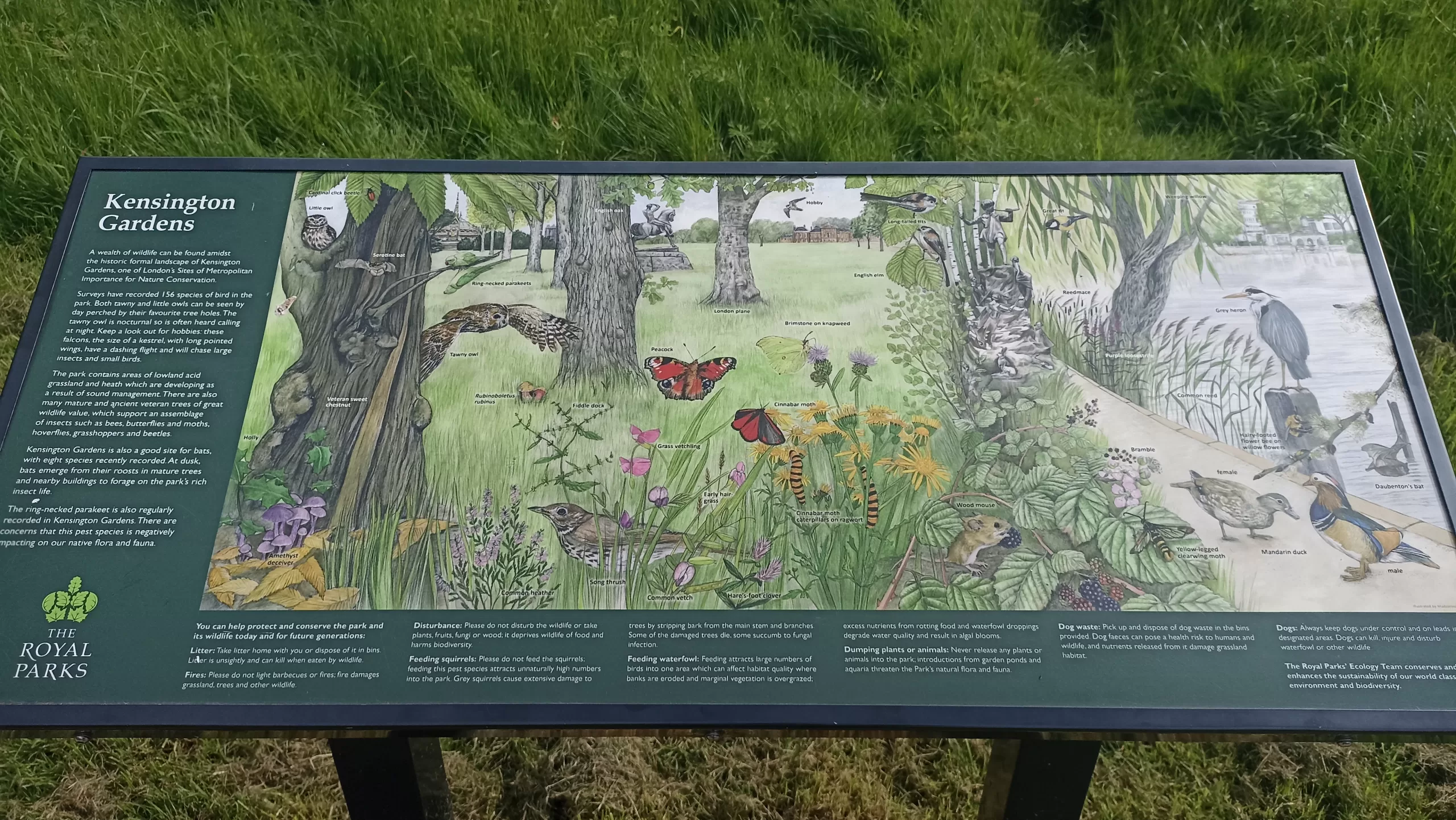 A sign depicting the wildlife found in Kensington Gardens, London