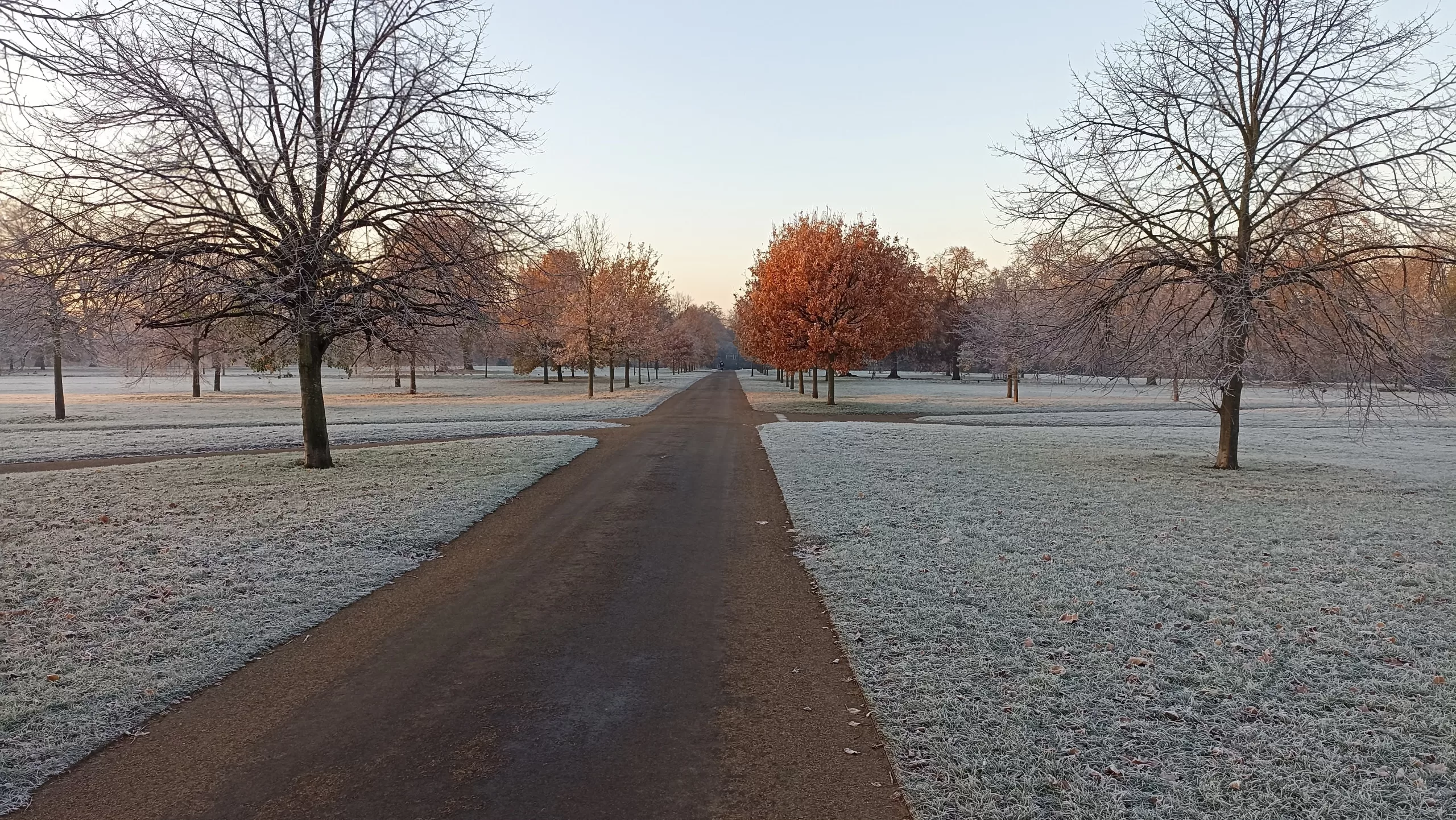 Hyde Park during the winter