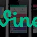 Vine